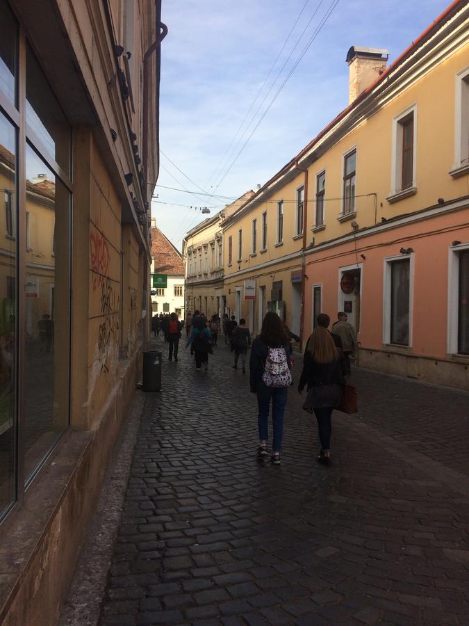 Auberge de jeunesse Casa Roz à Cluj-Napoca Extérieur photo